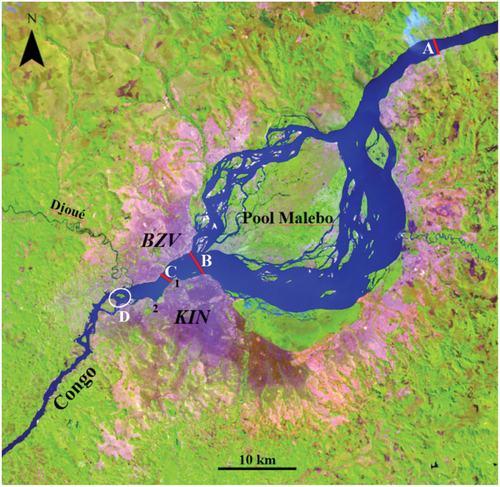Figure 2. Carte du pool Malebo montrant les trois principales sections de jaugeage du fleuve Congo (A = Maluku-Tréchot, B = BZV/KIN, C = Kalina) et D = les rapides du Djoué. Légende : BZV = Brazzaville, KIN = Kinshasa, 1 = pointe Kalina, 2 = Baie Ngaliena.