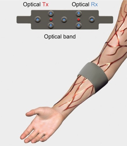 Figure 5 Reflection mode optical measurements through lower forearm hand.