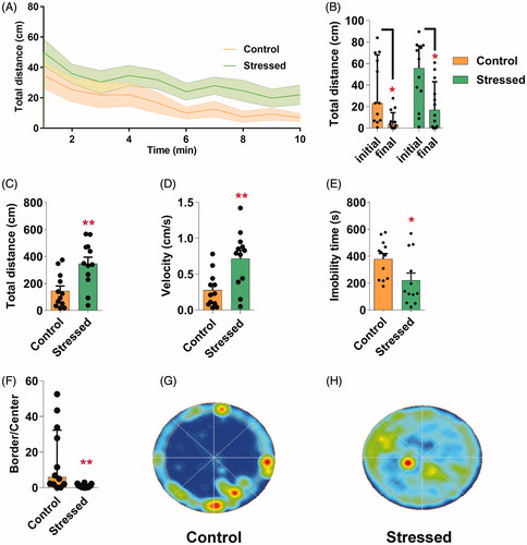 Figure 2. SVS protocol induces hyperlocomotion and centrophilia in adult flies. (A-F) Behavioral performance of naïve control and stressed flies in OF. (A) The curve of activity over time is shown as mean distance traveled plus SEM. One-minute time segments analysis revealed no significant effect of time or treatments (control and stress) nor interaction between time vs treatment (K-W). (B) Initial and final distance traveled in 1-min blocks in control and stressed flies. Asterisk indicates significant difference between initial vs final in control and the stressed group (Wilcoxon matched pairs test). (C) Total distance traveled during the 10 min period was higher in stressed animals compared with control naïve (Control). (D) Stressed animal showed higher mean velocity compared with control. (E) Total immobility time was larger in control flies compared with the stressed group. In C-E asterisks indicate significant difference, one-tailed unpaired student’s t-test was used. (F) Time of permanence in the border normalized to the time in the center was reduced in stressed compared with control, one-tailed unpaired M-W. (G-H) Representative occupancy plots in OF of control (G) and stressed flies (H). N = 12 in all groups. In A and CE Bars indicates means + SEM. In Band F Bars indicates medians + IQR. *p < 0.05, **p < 0.01 as compared to control group or the initial time.