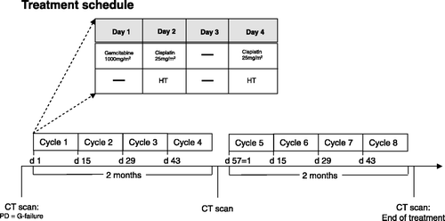 Figure 1. Treatment schedule.