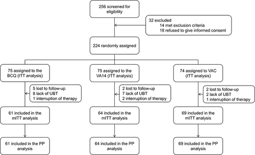 Figure 1 Schematic diagram of patient selection and study design. Of the 256 H. pylori-infected patients assessed for eligibility, 32 were excluded from this study, 14 were ineligible, and 18 refused. A total of 224 study subjects were successfully randomized and allocated to the BCQ group (n=75 of ITT population, n=61 of mITT and PP population), VA14 group (n=75 of ITT population, n=64 of mITT and PP population) and the VAC group (n =74 of ITT population, n=69 of mITT and PP population).