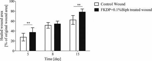 Figure 2. The effect of fur keratin-derived powder containing biphalin on skin wound healing. Because of the decreasing number of surviving mice, the data (mean ± SEM) were only tested by the t-test for dependent samples (for each post-wounding day separately), with no prior two-way analysis of variance. * - p < .05, ** p < .01.