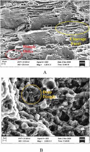 Figure 7. SEM fractography of a) BM, b) FSPed at 1180 rpm. 38 mm/min. and tool tilt angle 1°.