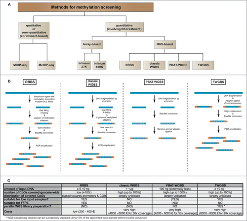 Figure 1. Comparison of sequencing-based methods for genome-wide methylation analysis. (A) Overview of major next-generation sequencing-based methods for DNA methylation screening. Due to their practical relevance, we have also included quantitative array-based methylation screening methods. (B) General workflow for the most relevant bisulfite sequencing based methods RRBS, classic WGBS, PBAT and TWGBS. For methodological detail, please refer to the original reports describing the respective methods.Citation40-42,51,55-57 (C) Table showing advantages and disadvantages for bisulfite sequencing methods.