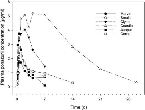 Figure 5. Plasma ponazuril concentration versus time curves for six green turtles successfully administered a single oral dose of ponazuril-filled capsules at a dose rate of 100 mg/kg BW.
