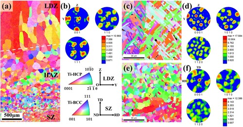 Figure 6. EBSD results of the heat-treated hybrid manufactured TC11 sample. (a) Reconstructed β-orientation map from the SZ to the LDZ and the corresponding (b) pole figures in the LDZ. Inverse pole figure orientation maps and pole figures of the α phases in the (c)-(d) LDZ and (e)-(f) SZ.