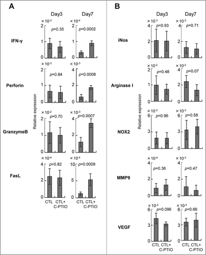 Figure 6. Expression of genes related to effector (A) and immunoregulatory (B) functions. Mice were treated as described in the legend to Figure 4. Tumor tissues from CTL-treated mice and CTL+C-PTIO-treated mice were harvested on days 3 and 7. Total RNA was extracted from each tumor tissue and the expression of the indicated genes determined by qRT-PCR.
