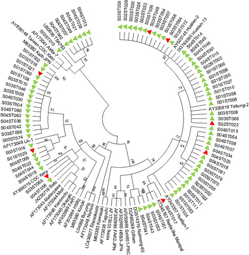 Figure 2. Phylogenetic tree of Orientia tsutsugamushi 56 kDa TSA gene. Highlighted with green triangles are sequences of the survivors and highlighted in red are sequences of the succumbed.