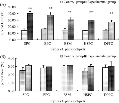 Figure 2. Liver (A) and spleen (B) biodistribution (4 h) of calcein in rats after a second injection of PEGylated liposomes made of different types of phospholipid (n = 6) (**p < 0.01).