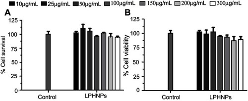 Figure 7 Cytotoxicity study of LPHNPs measured after 24 hours (A) and 48 hours (B) incubation with PC3 cells at 37°C. The results are presented in triplicate, with error bars as mean±SD (n=3).Abbreviation: LPHNPs, lipid polymer hybrid nanoparticles.