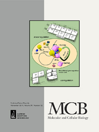 Cover image for Molecular and Cellular Biology, Volume 39, Issue 22, 2019