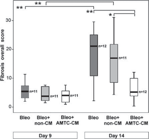 Figure 3. Representation of overall fibrosis score at days 9 and 14 post-intratracheal bleomycin instillation. Box-plots reporting the median and IQR of values obtained from the Bleo (dark gray), Bleo + non-CM (light gray) and Bleo + AMTC-CM (white) groups are represented for each time-point. The number of mice in each group is indicated (n). Brackets represent significant differences between groups and time-points; *P < 0.05; **P < 0.01.