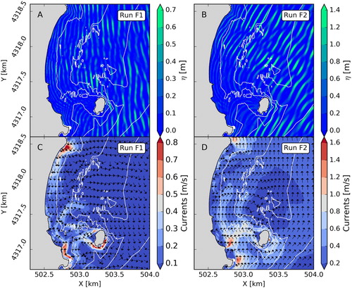 Figure 3. Hydrodynamic model output. Panels A and B plot a snapshot of the free surface elevation at the end of the simulations. Panels C and D show the mean current distribution on the shoreface. Run 1 – wave from ENE; Run 2 – wave from SE.