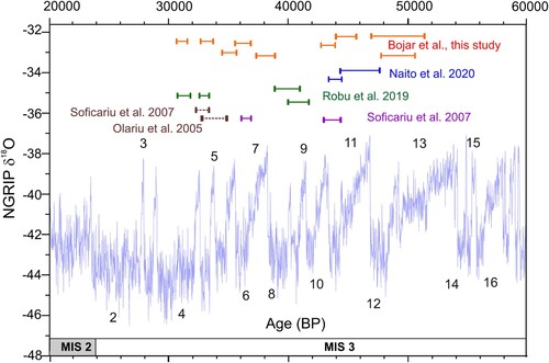 Figure 3. Isotope stages of MIS 3 with stadials and interstadials [Citation46] plotted with the radiocarbon ages from the Cioclovina Uscată cave for U. spelaeus: this study (red), [Citation19] (violet); [Citation28] (green); [Citation31] (blue); for H. sapiens: [Citation16,Citation19] (brown and dashed lines); 14C determined ages are displayed as ages cal BP).