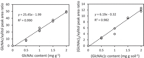 Figure 1. Relationship between contents in soil and ratios of peaks detected by GC/MS analysis of GlcNAc (left) and (GlcNAc)2 (right). The averages of measured contents of standard soil samples prepared in triplicate are plotted. The result of linear approximation is shown by a formula with its determination coefficient.