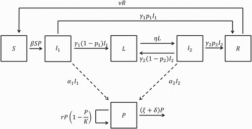 Figure 1. Compartmental diagram for Model 1.