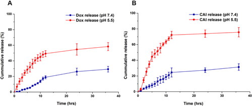Figure 4. Doxorubicin release profile from Dox-MSNPs and Lipc-Dox-MSNPs.