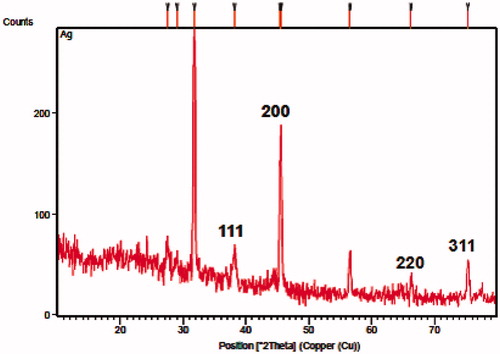 Figure 3. XRD spectrum of biologically synthesized silver nanoparticles.