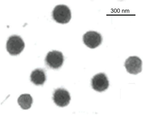 Figure 2 Transmission electron microscopic image of chitosan-superoxide dismutase B1-tripolyphosphate nanoparticles.