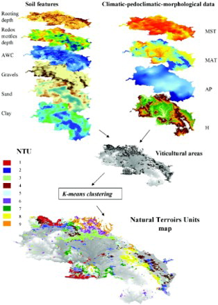 Figure 4. Maps used for the k-means clustering to obtain the Natural Terroirs Units (NTU) map of the province of Siena.