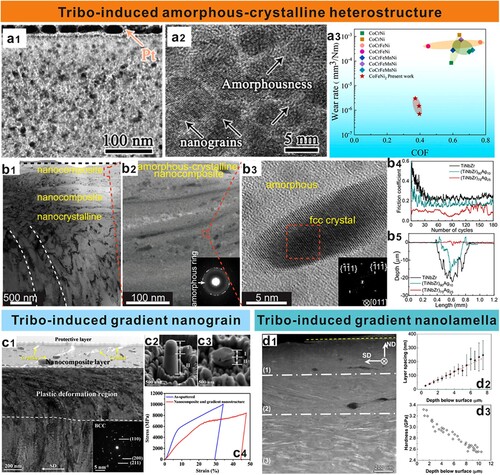 Figure 2. (a1) The TEM and (a2) magnified HRTEM images in the topmost oxidation layer for the CoFeNi2 MEA worn at 5 N after 9000 cycles. (a3) Specific COF vs. wear rate maps of tribological CoCrFeMnNi-based HEAs/MEAs, including the present results of CoFeNi2 MEA [Citation40]. (b1) TEM, (b2) STEM and (b3) HRTEM images of the amorphous-crystalline nanocomposite on the surface. (b4) Friction coefficients as a function of sliding cycles for the TiNbZr-based alloys with (b5) 2D cross-sectional profiles of the wear tracks [Citation41]. (c1) A cross-sectional bright-field TEM image for the TaMoNb film after dry sliding against a Si3N4 ball at room temperature. SEM images of the nanopillars composed of nanocomposite (I) and gradient nanostructure (II) before (c2) and after (c3) compression with (c4) typical compressive engineering stress–strain curves [Citation42]. (d1) A cross-sectional HAADF-STEM image of the Cu90Ag10 alloy worn against a martensitic steel 440C disk. (d2) Hardness and (d3) spacing between two consecutive Ag layers as a function of depth below the sliding surface [Citation57].