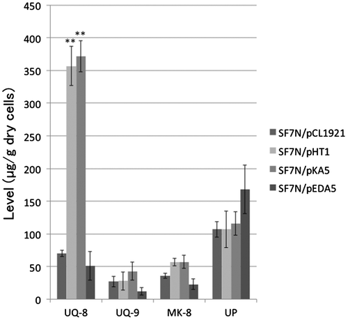 Figure 5. The level of isoprenoid quinones and undecaprenyl phosphate in transformants of ispA null mutant E. coli strain SF7N. The transformants of SF7N, harboring pCL1921 (empty vector), pHT1 (which carries ispA), pKA5 (which carries ispB), and pEDA5 (which carries ispU/rth) were used for the analysis of isoprenoids. Bar graphs show averages of three assays. Error bars show standard deviations. The statistical significance is indicated (**p < 0.01 compared with SF7N/pCL1921). Abbreviations: UQ-8, ubiquinone-8; UQ-9, ubiquinone-9; MK-8, menaquinone-8; UP, undecaprenyl phosphate.