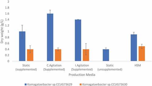 Figure 1. Dry weight of BC produced by Komagataeibacter sp. CCUG73629 and Komagataeibacter sp. CCUG73630 in corncob (CC) hydrolyzate at different fermentation conditions.