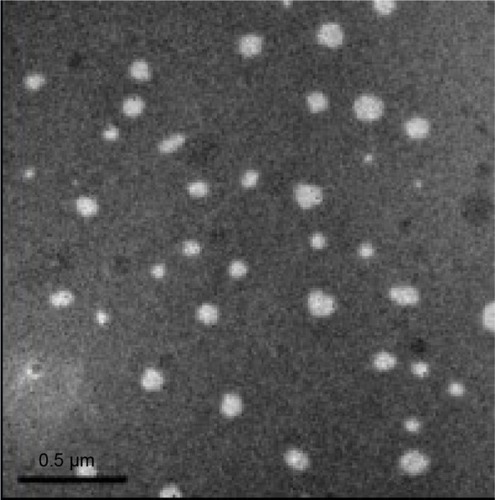 Figure 2 TEM analysis of BJO-CN.Note: Scale bar: 0.5 μm.Abbreviations: BJO-CN, Brucea javanica oil cationic nanoemulsions; TEM, transmission electron microscope.