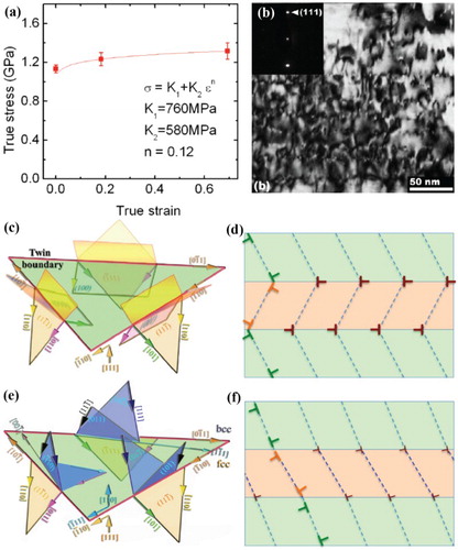 Figure 8. (a) Measured true stress—strain curve of nanotwinned Cu foils. (b) Cross-sectional TEM micrographs of nanotwinned Cu films after 50% thickness reduction, showing a high density of dislocations along twin boundaries without dislocation cell walls in layers [Citation103]. (c) The crystallography of slips in nanotwinned multilayers shows three paired {111} slip systems across the twin interface. (d) Lomer dislocations at the twin interface as a reaction result of the deposited interface dislocations. (e) The crystallography of slips in the KS fcc–bcc system shows three paired {111} slip systems across the interface. (f) A small residual dislocation results from the reaction of the deposited interface dislocations.