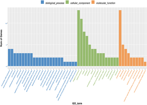 Figure 9 The number distribution of differential genes on GO term. The number distribution of differential genes on Gene Ontology (GO) term was analyzed from biological process, cellular component and molecular function by GO enrichment analysis.