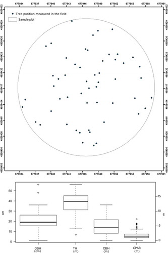 Figure 2. Summary of the reference field data measured with traditional instruments. Above the single-tree position, below the boxplot of resulting values for DBH, TH, CBH, and CPAR.