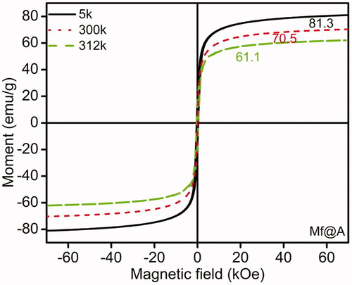 Figure 6. Magnetic measurements for Mf@A using SQUID at 5, 300, and 312 k. Mf@A: MnFe2O4@Au nanoparticles; SQUID: superconducting quantum interference device.