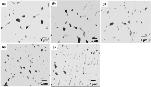 Figure 7. FESEM micrographs of present sintered BN/Ni-Cu with various BN weight contents a) 1%, b) 2%, c) 3%, d) 4% and e) 5% BN.