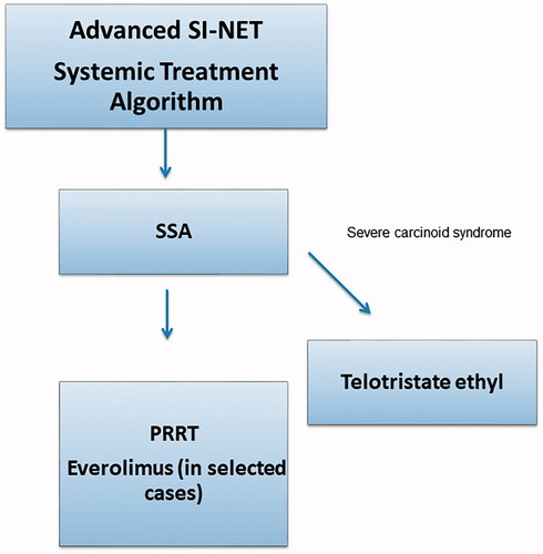 Figure 3. Treatment algorithm for the systemic treatment of small intestinal neuroendocrine tumours. Debulking treatment such as surgery, radiofrequency ablation and liver embolisation are not included in the algorithm. G: grade; PRRT: peptide receptor radionuclide treatment; SSA: somatostatin analogue; SI-NET: small intestinal neuroendocrine tumour.