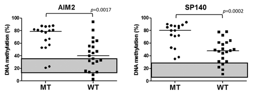 Figure 1 DNA methylation levels of AIM2 and SP140 in samples from patients with mutant and wild-type TET2. DNA methylation level of normal peripheral blood samples is shown in the light gray rectangle. MT, TET2 mutant cases; WT, wild-type cases.