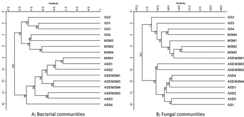 Figure 7. Soil bacterial (A) and fungal (B) community analysis by T-RFLP analysis at post-treatment (October 3, 2013) at the Oxnard demonstration site. 0 to 15 cm depth. ASD = ASD-RB, ASD MSM = ASD-RB+MSM. See Figure 3’s caption for more information on legends. Number after treatment indicates section number of each treatment.