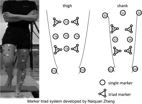 Figure 2. This system detected rotational movement of the knee in detail by distinguishing translational movement and measuring angles formed by triad markers