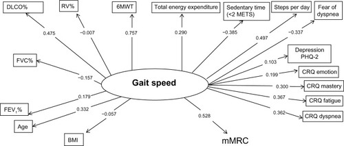 Figure 1 Gait speed construct: correlation (r) between psychological and functional variables.