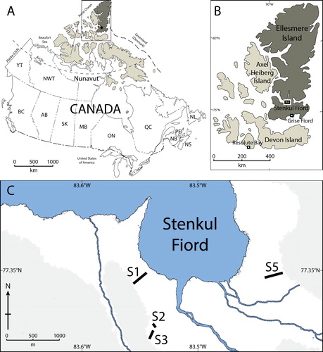 Figure 1. (A) Map of Canada showing the Canadian Arctic Archipelago (beige) and Ellesmere Island (brown). (B) Closer view of Ellesmere Island showing the location of Stenkul Fiord. Modified from Atlas of Canada. (C) Outline of the southern shore of Stenkul Fiord. The black lines and numbers show measured and sampled sections. The grey shading shows topographic elevation >100 m above sea level, interpreted from satellite imagery. Source: Contains information licensed under the Open Government Licence – Canada.