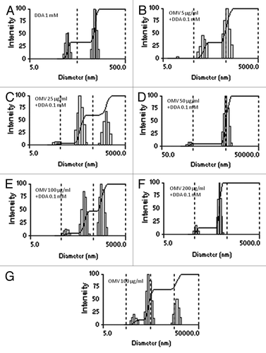 Figure 1. The size distribution and zeta-potential (ζ) for different dispersions in 1 mM NaCl. One mM DDA-BF dispersion (A) and 0.1 mM DDA-BF dispersions carrying OMV of N. lactamica at concentrations of 5 (C), 25 (D) and 50 μg/mL (E). OMV alone at a concentration of 100 μg/mL is shown in (B). The interaction time for DDA-BF and protein was 1 h. In each subfigure, mean zeta-potential and diameter ± SE are quoted. The figures above the main peak correspond to the mean diameter of this specific peak.