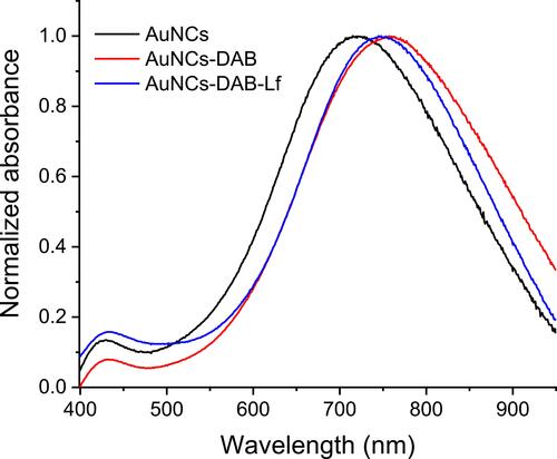 Figure 1 UV-vis spectra of AuNCs, AuNCs-DAB and AuNCs-DAB-Lf.