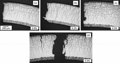 Figure 10. Post-test transverse metallographs of the samples subjected to HCRT for 21 days; (a) KY92, (b) KY93, (c) KYM3, and (d) KYM4. Percentages in the lower right of each image indicate circumferential permanent strain to failure
