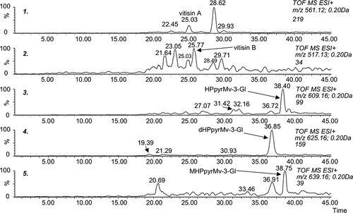 Figure 9 μLC/MS analysis of pyranoanthocyanins (sample of rosé wine stored for 582 days at 25°C in darkness).