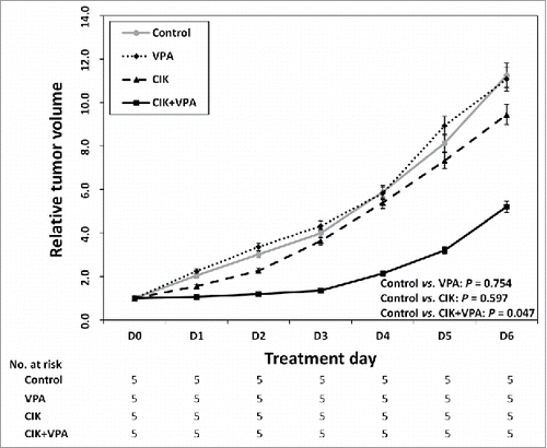 Figure 6. Synergistic effect of CIK with VPA in vivo. Relative tumor volume of VPA single or CIK single treatment group was not statistically different from that of control group (P = 0.754 and P = 0.597 respectively). The combination therapy of CIK cells + VPA produced a significant synergistic effect (P = 0.047). The relative tumor volume of combination therapy group increased to 5.20 while that in the control group increased to 11.25.