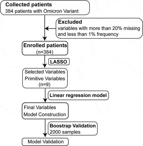 Figure 1. Flow diagram of the study. A total of 384 patients infected with Omicron variant from January 8 to February 13 in 2022 were enrolled. The final predictive model was constructed by fitting a linear regression model using the predictors selected by the LASSO method. Due to small sample size, bootstrap validation was used to test model performance. A total of 2,000 bootstrap samples were taken and replaced with the same sample size as the original, resulting in the final model.