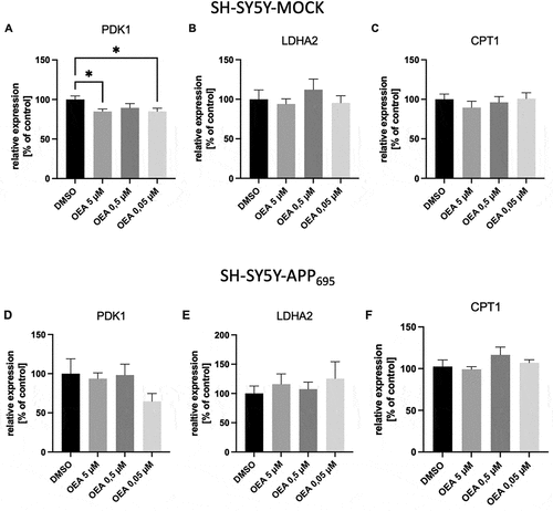 Figure 2. Effect of oleoylethanolamide (OEA) on the relative gene expression in SH-SY5Y cells after incubation with OEA for 24 h, determined using quantitative real-time PCR compared to SH-SY5Y cells incubated with a 1:1 mixture of DMSO and cell culture media. (A) Gene expression of phosphoinositide-dependent kinase-1 (PDK1) in SH-SY5Y-MOCK cells. (B) Gene expression lactate dehydrogenase a (LDHA2) in SH-SY5Y-MOCK cells. (c) Gene expression of carnitine palmitoyltransferase 1 (CPT1) in SH-SY5Y-MOCK cells. (D) – (F) Are equal to (A) – (C) in SH-SY5Y-APP695 cells. Calculation of normalization factor based on geometric mean of multiple control genes levels of ß-actin (ACTB), glyceraldehyde 3-phosphate dehydrogenase (GAPDH), and phosphoglycerate kinase 1 (PGK1). Data are displayed as means ± SEM. n = 14. Statistical significance was tested via one-way ANOVA (*p < 0.05).