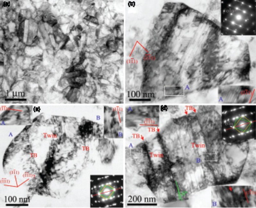 Figure 3. Typical TEM micrographs showing the microstructures and defects in ultrafine austenitic grains after ∼28% tensile strain: (a) overview of the microstructure, (b) defect structure in a 520 nm grain, (c) a 400 × 570 nm grain with an annealing twin, (d) a 500 × 700 nm grain with two nanotwins. The corresponding SAD patterns with [011] zone axis are shown in the insets. The insets denoted by capital letters A and B are enlarged from the corresponding white frame regions, which reveal different slip planes activated in different regions.