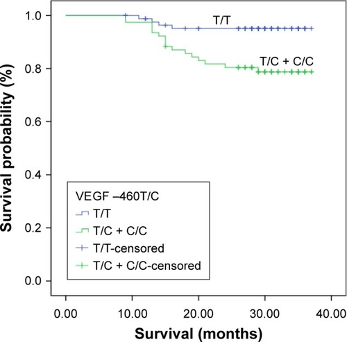 Figure 5 OS for (T/C + C/C) genotype carriers and T/T genotype carriers.