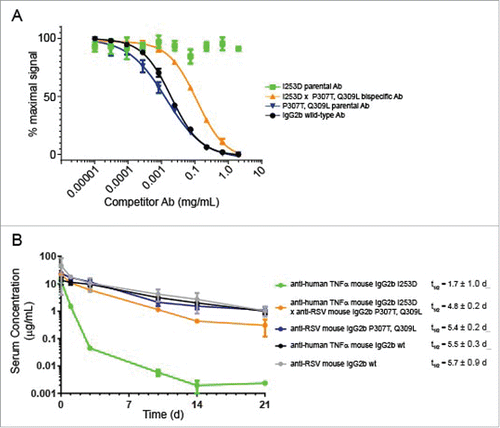 Figure 2. Analysis of FcRn interaction and PK analysis. (A) Competition binding of mouse IgG2b variants with wild-type IgG2b for FcRn using AlphaScreen assay. The graph displays % maximum signal plotted vs concentration of competitor. Mouse IgG2b wild-type compares the ability of the Ab to compete with itself as a control. (B) Pharmacokinetic analysis of mouse IgG2b variants in C57BL/6 mice. The graph displays the concentration of each Ab vs time after injection. Each point represented the mean ± standard error of 6 animals per group. Antibody specificities are indicated on the plot.