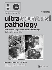 Cover image for Ultrastructural Pathology, Volume 43, Issue 2-3, 2019
